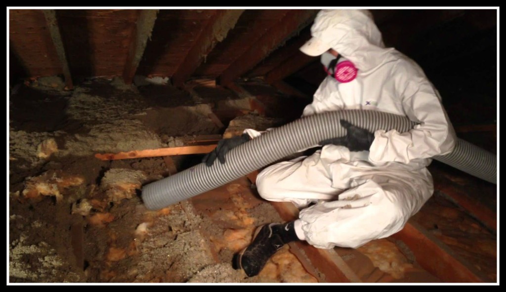 attic-cleaning-remove-cacuum-attic-orange-county-1024x592